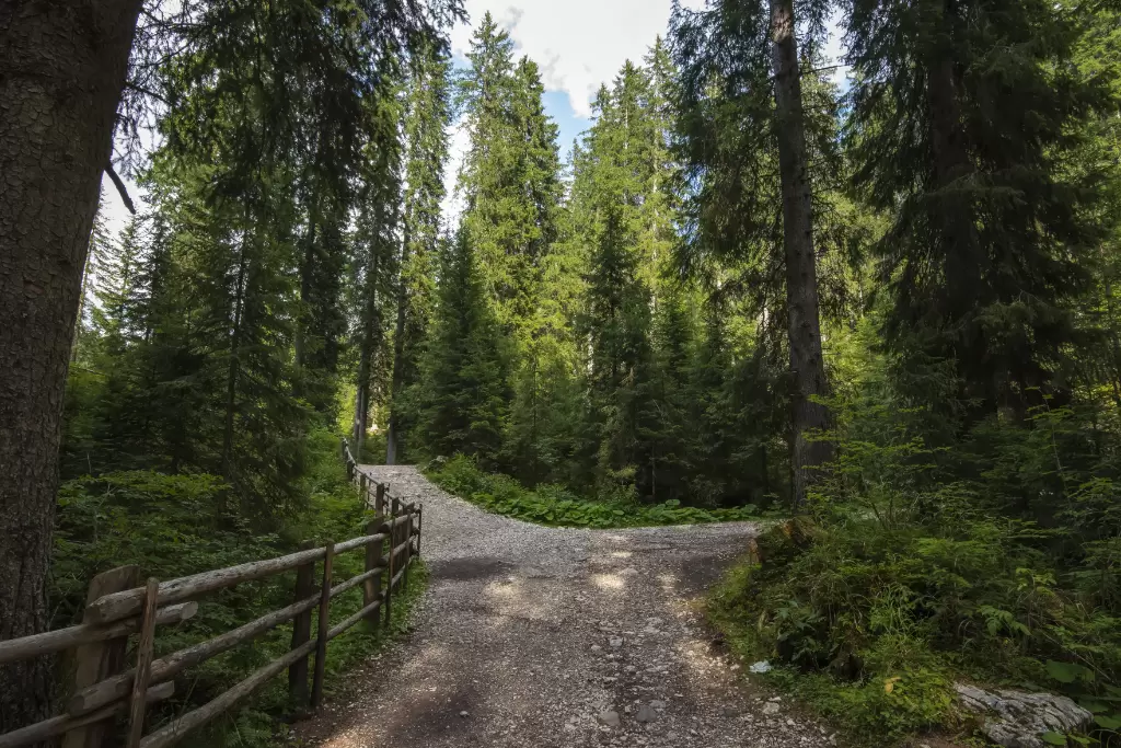 Montrer le chemin Montrer le chemin