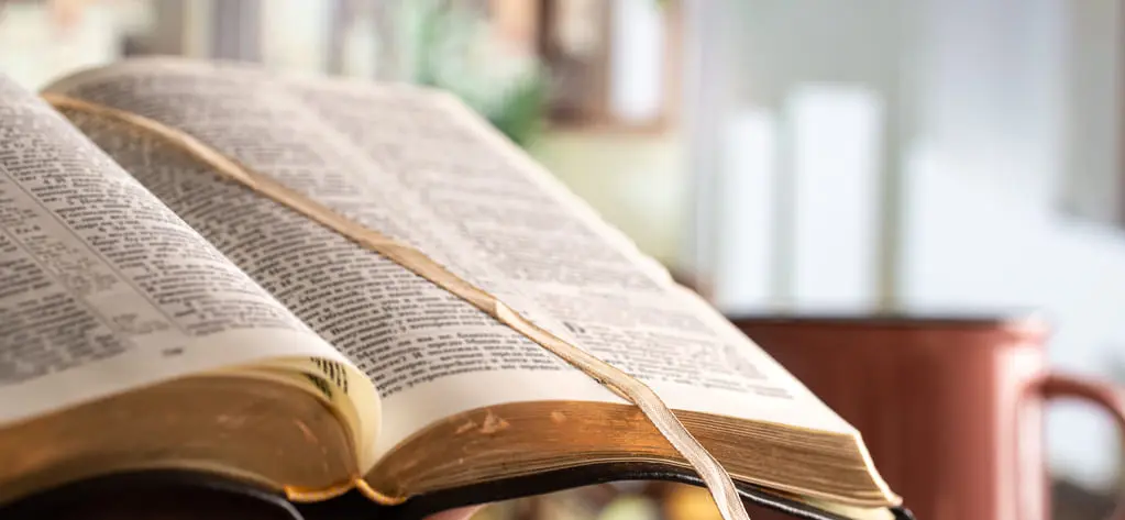 09-28-2025-Une-Année-Avec-Jésus-Une-faim-qui-plaît-à-Dieu-Light 09-28-2025-Une-Année-Avec-Jésus-Une-faim-qui-plaît-à-Dieu-Light