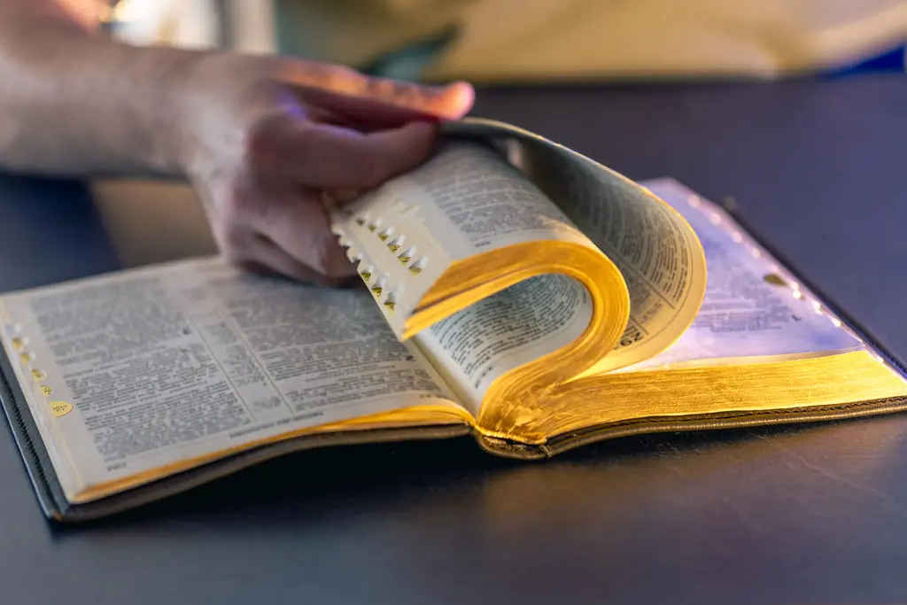12-16-2025-Une-Année-Avec-Jésus-Une-Parole-qui-transforme-Light 12-16-2025-Une-Année-Avec-Jésus-Une-Parole-qui-transforme-Light